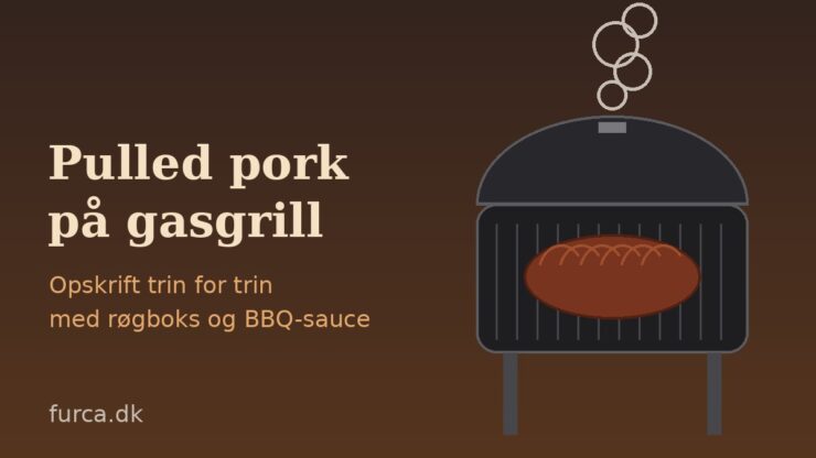 Illustration af pulled pork på gasgrill med røg